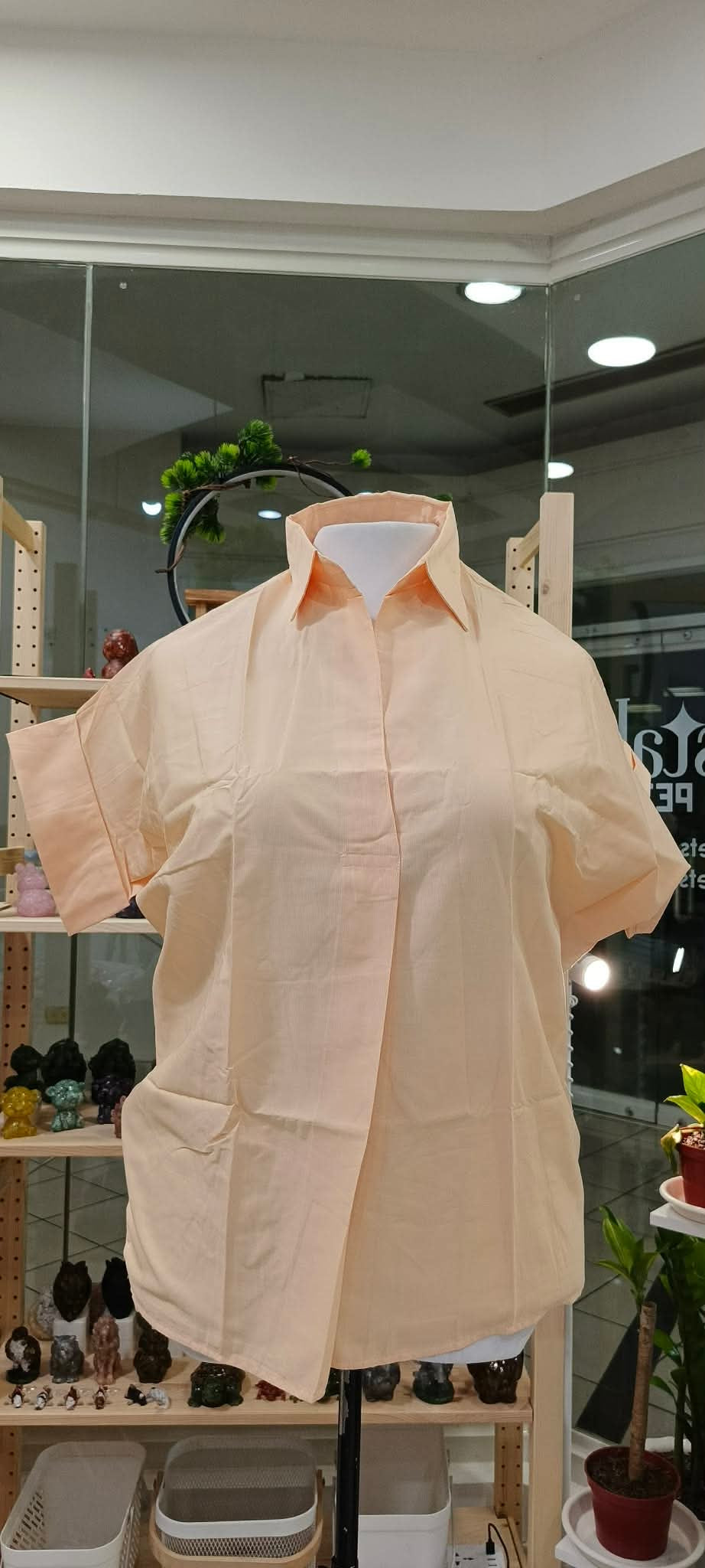 Tammy Polos